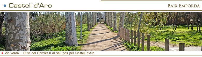 Castell d'Aro